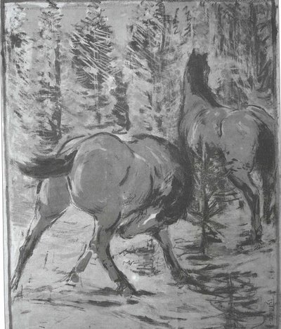 Cavalli al guado da Franz Marc